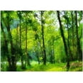 thumbnail image 1 of Trademark Fine Art "Forest Walk in Spring" Canvas Wall Art by Lois Bryan, 1 of 2
