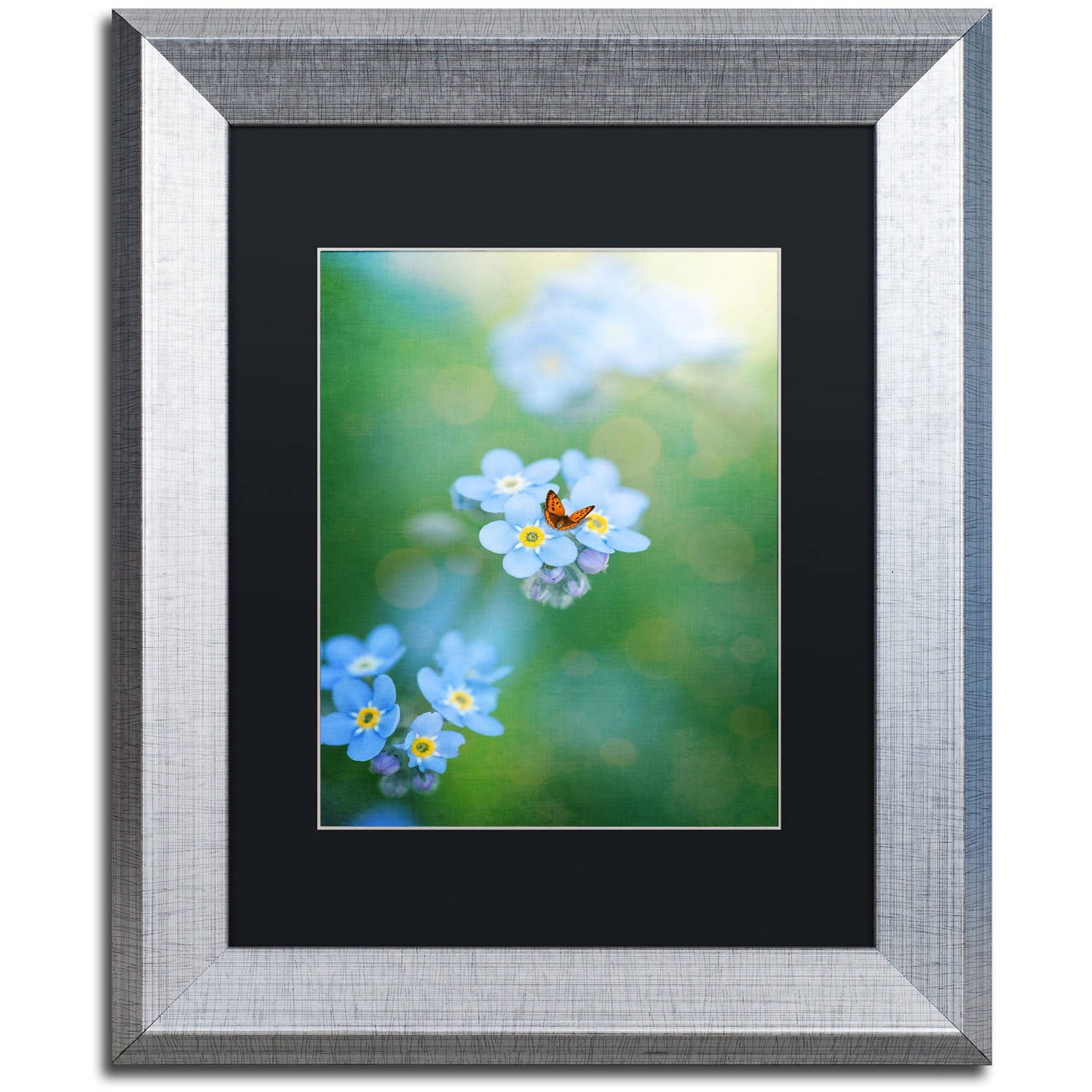 Trademark Fine Art "Forget-Me-Not" Canvas Art by Philippe Sainte-Laudy, Black Matte, Silver Frame