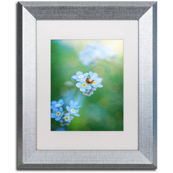 Trademark Fine Art "Forget-Me-Not" Canvas Art by Philippe Sainte-Laudy, White Matte, Silver Frame