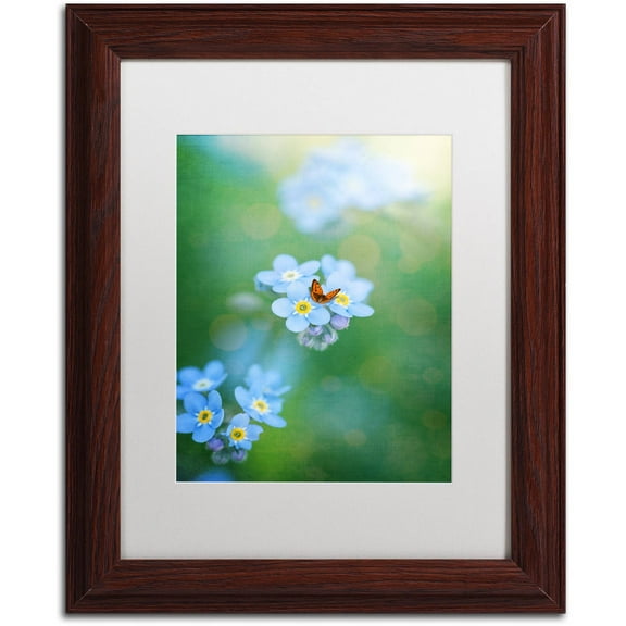 Trademark Fine Art "Forget-Me-Not" Canvas Art by Philippe Sainte-Laudy, White Matte, Wood Frame