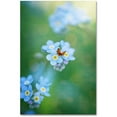 thumbnail image 1 of Trademark Fine Art "Forget-Me-Not" Canvas Art by Philippe Sainte-Laudy, 1 of 3