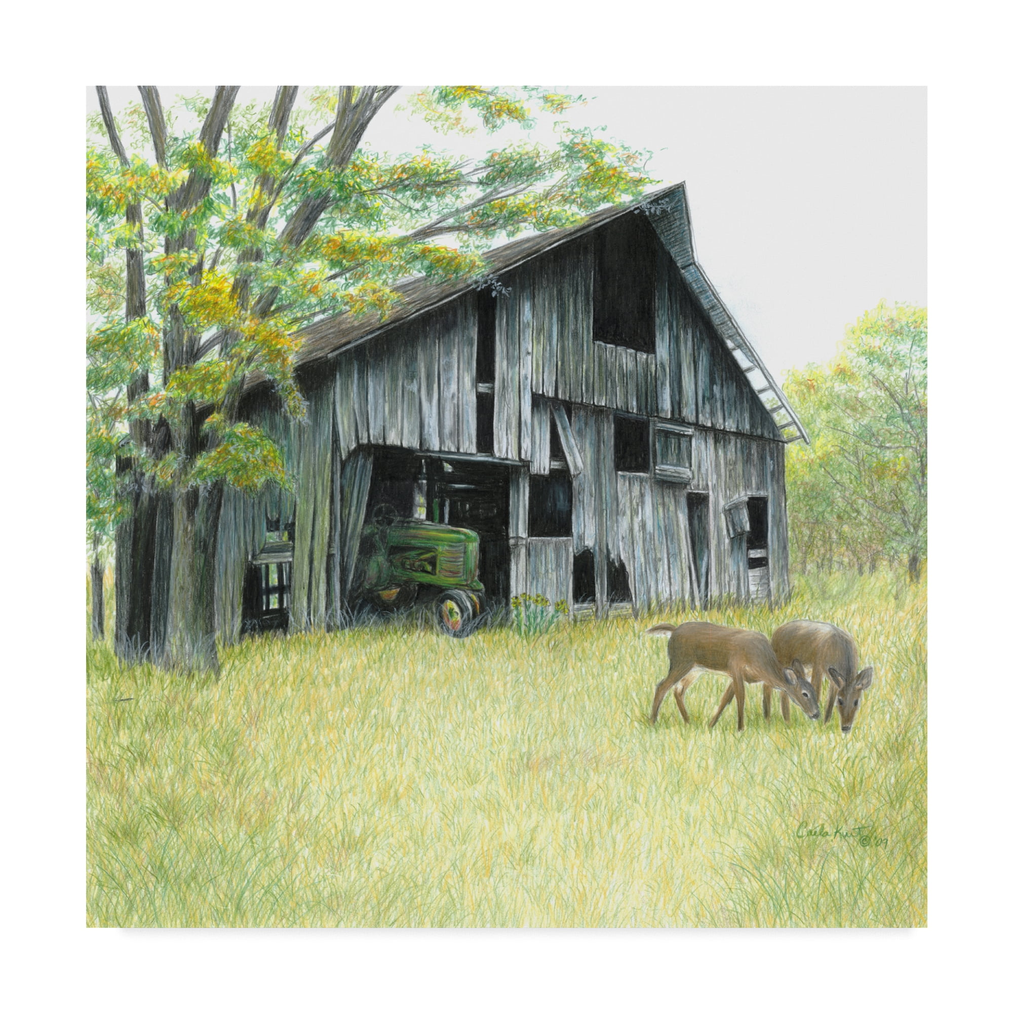 Trademark Fine Art 'Forgotten Barns' Canvas Art by Carla Kurt