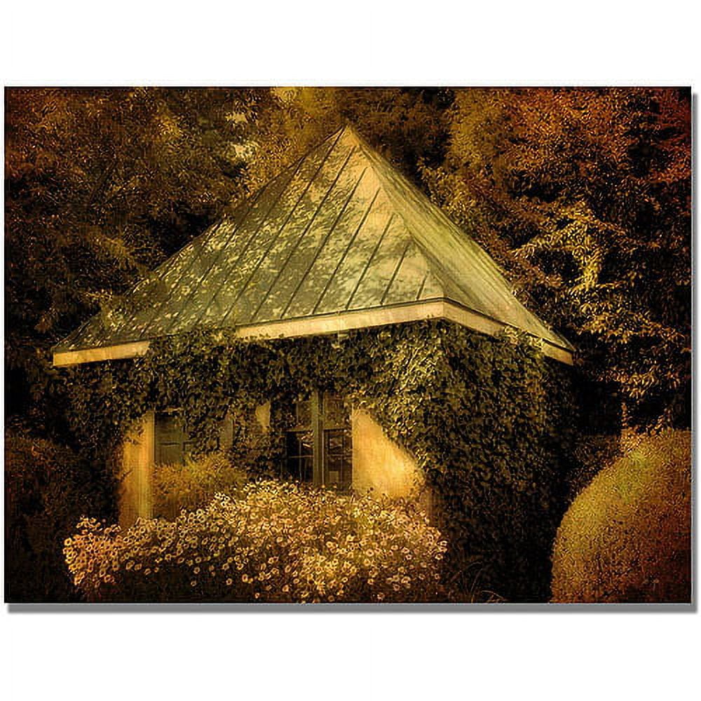 Trademark Fine Art "Forgotten Shed" Canvas Wall Art by Lois Bryan