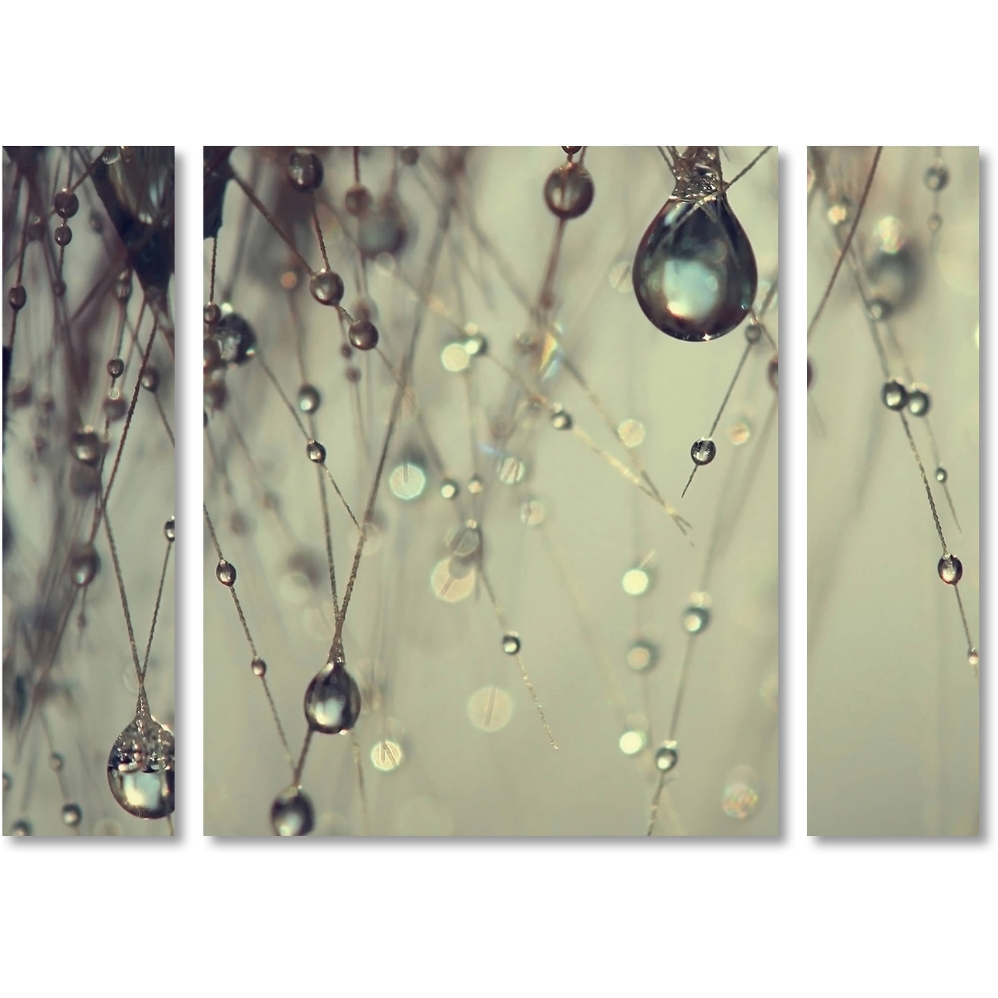 Beata Czyzowska Young 'Forgotten Wishes' Multi Panel Art Set Large