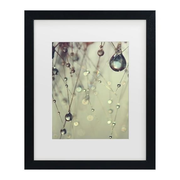 Trademark Fine Art 'Forgotten Wishes' Canvas Art by Beata Czyzowska Young