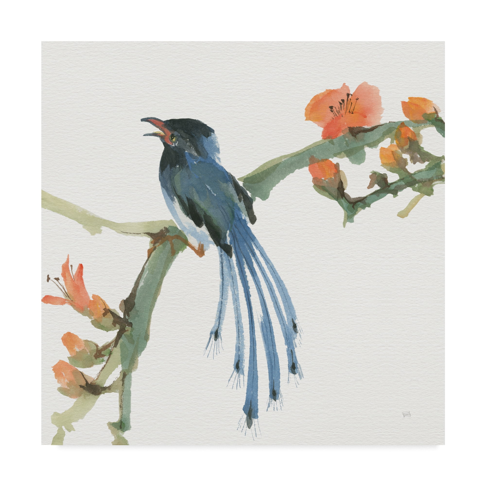 Trademark Fine Art 'Formosan Blue Magpie' Canvas Art by Chris Paschke