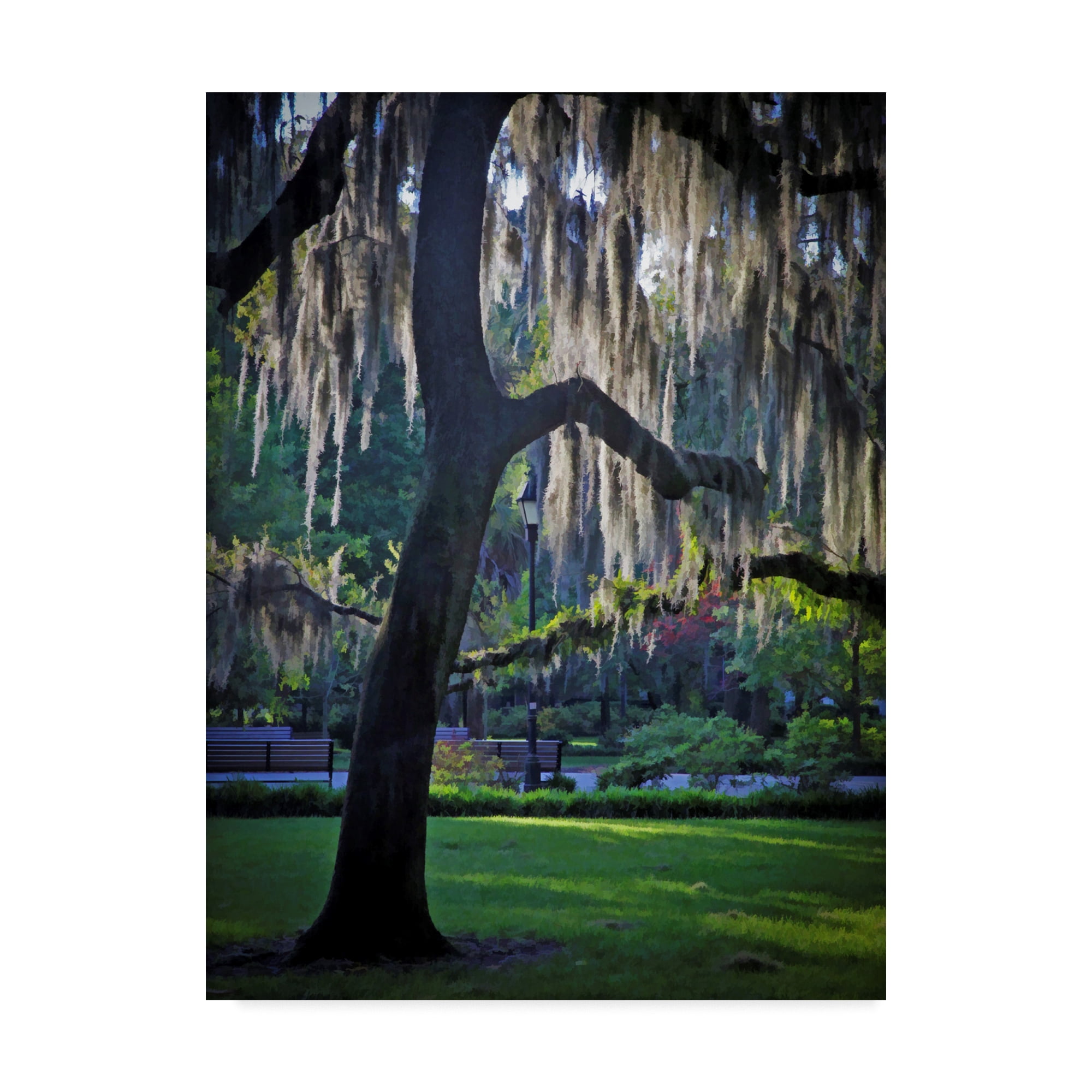 Trademark Fine Art 'Forsyth Pk, Savannah' Canvas Art by J.D. McFarlan