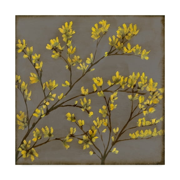 Trademark Fine Art 'Forsythia I' Canvas Art by Jennifer Goldberger