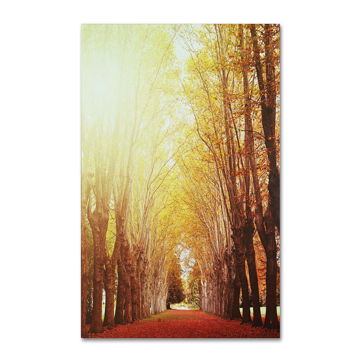 Philippe Sainte-Laudy Autumn Trees Landscape Canvas Art