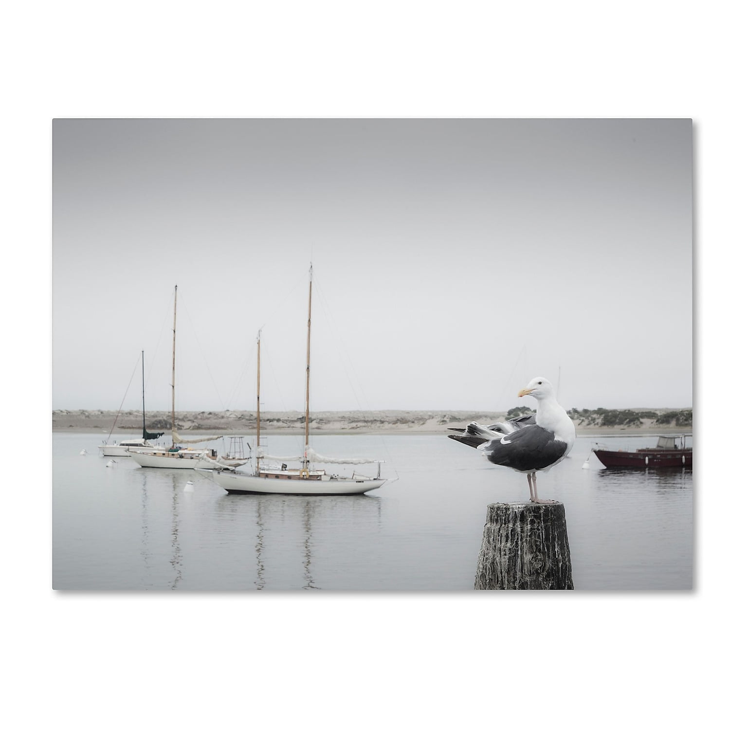 Trademark Fine Art "Four Boats and Seagull" Canvas Art by Moises Levy