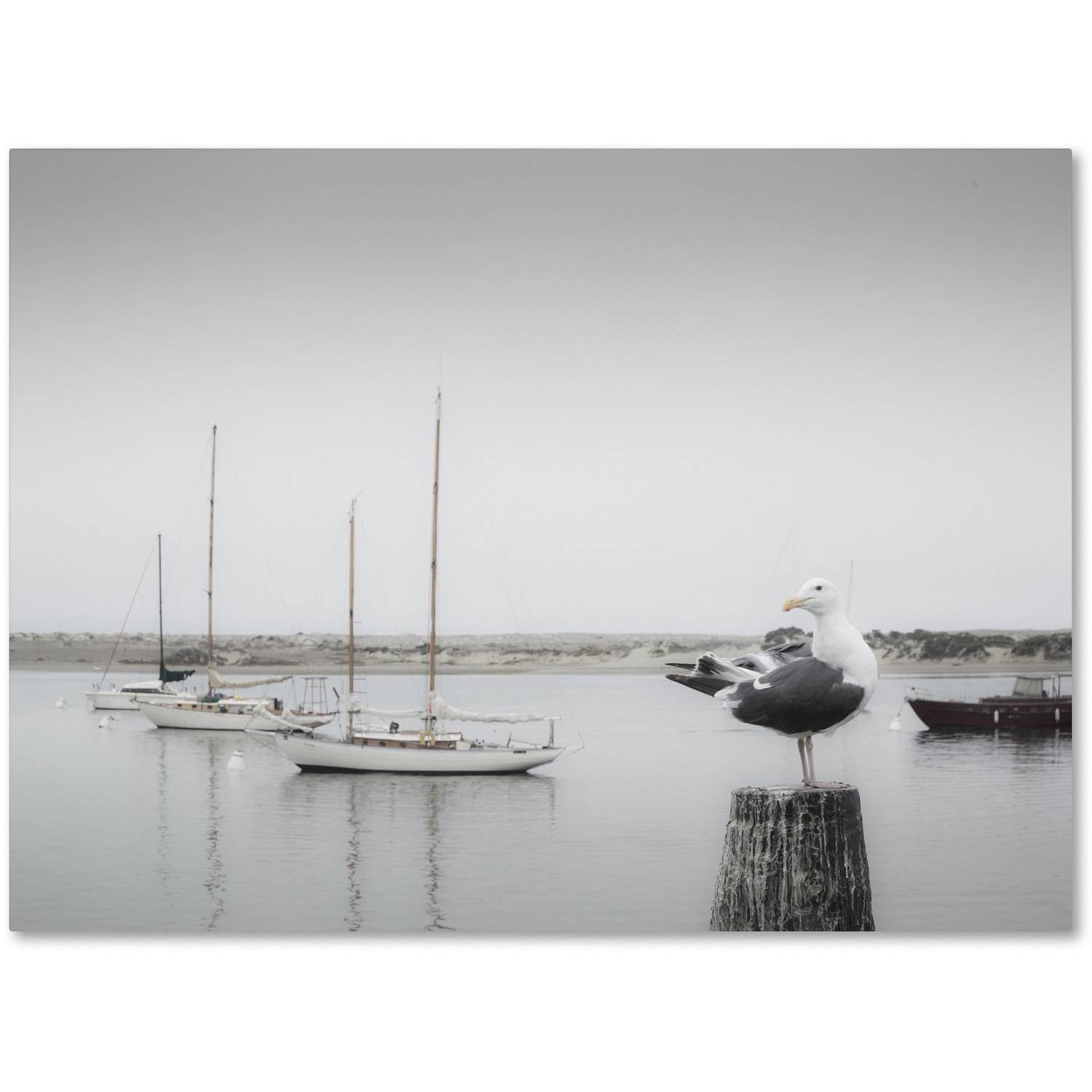 Gray and White Seagull with Boats Canvas Art, 14 x 19
