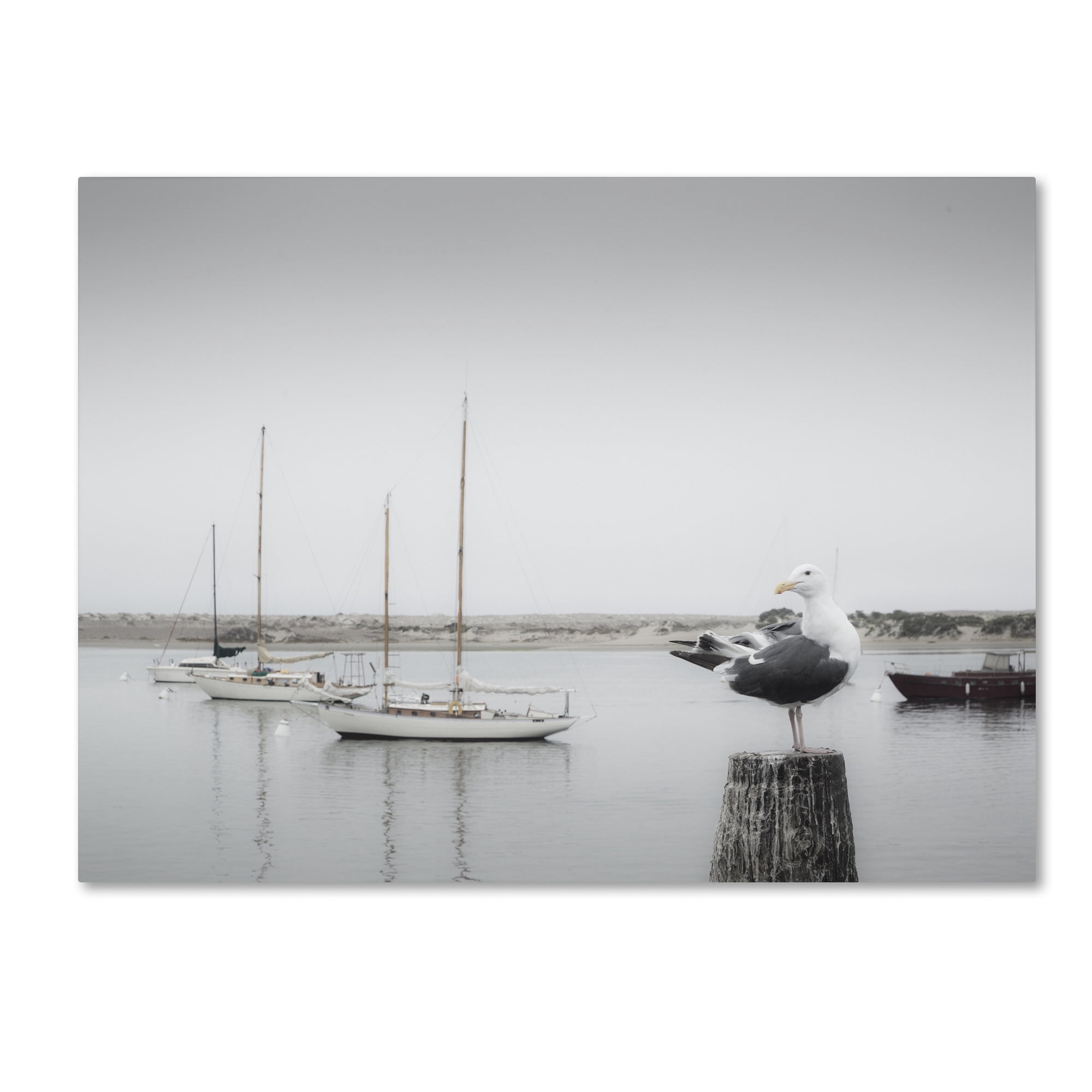 Trademark Fine Art "Four Boats and Seagull" Canvas Art by Moises Levy