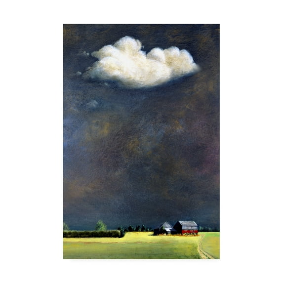 Trademark Fine Art 'Four Corners' Canvas Art by Steven Romm