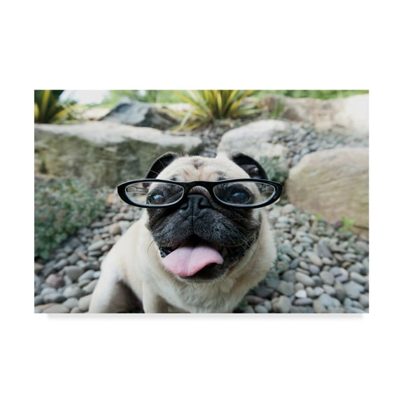 Trademark Fine Art 'Four Eyes' Canvas Art by Jim Dratfield