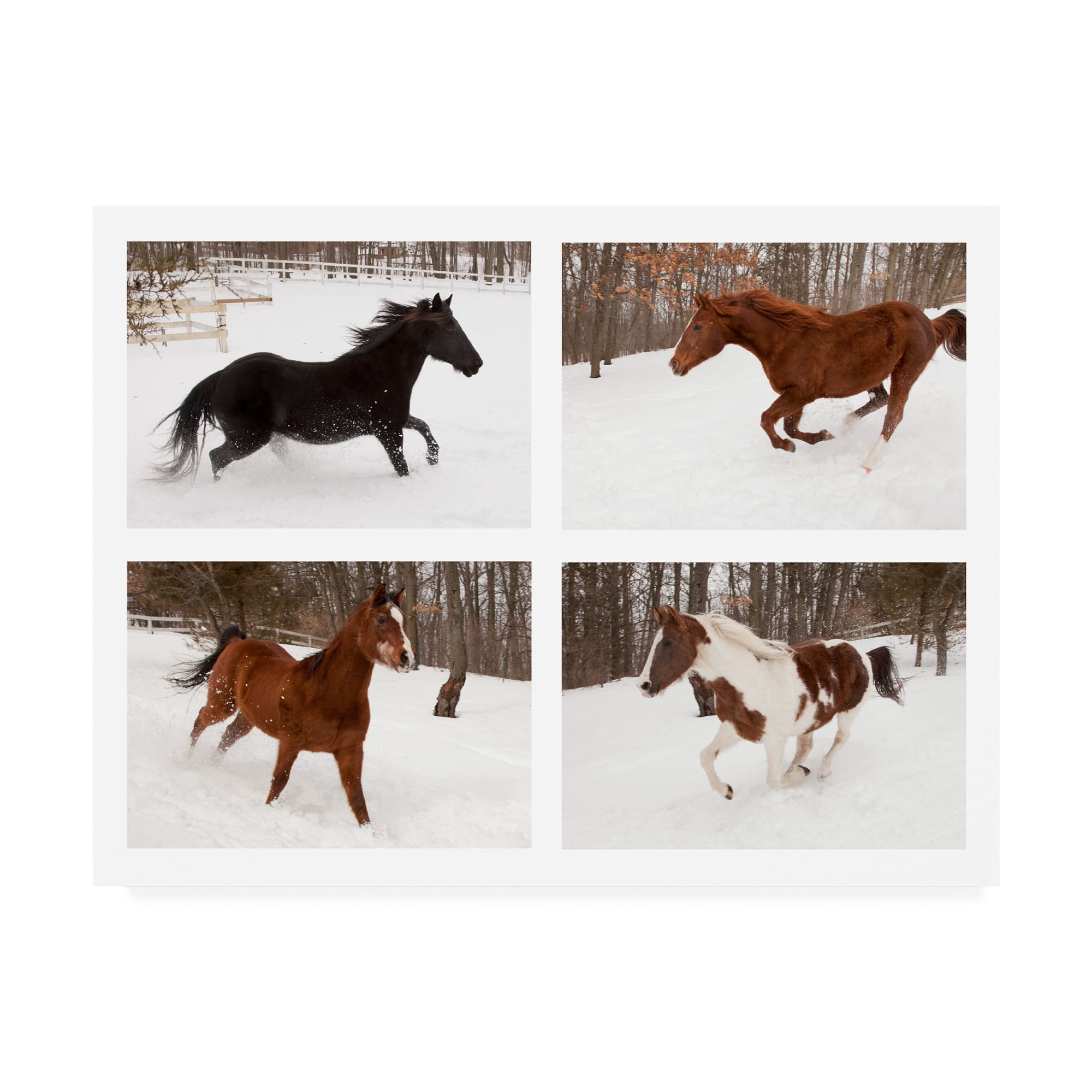 Trademark Fine Art 'Four Horses In Winter' Canvas Art by Monte Nagler