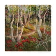 thumbnail image 1 of Trademark Fine Art 'Four Seasons Aspens I' Canvas Art by Nanette Oleson, 1 of 4