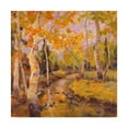 thumbnail image 1 of Trademark Fine Art 'Four Seasons Aspens III' Canvas Art by Nanette Oleson, 1 of 4