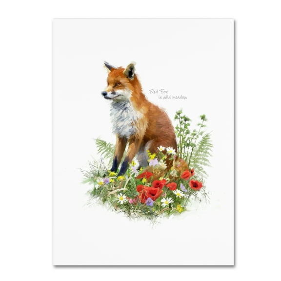 Trademark Fine Art 'Fox II' Canvas Art by The Macneil Studio