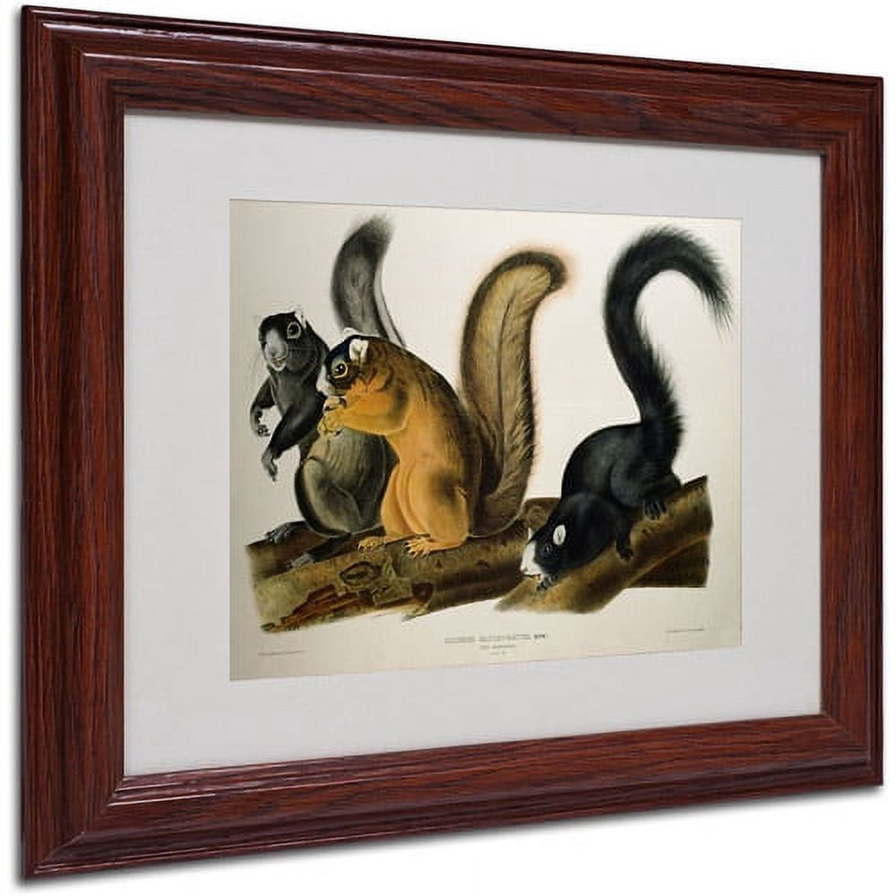 Trademark Fine Art "Fox Squirrel" Canvas Art by John James Audubon, Wood Frame