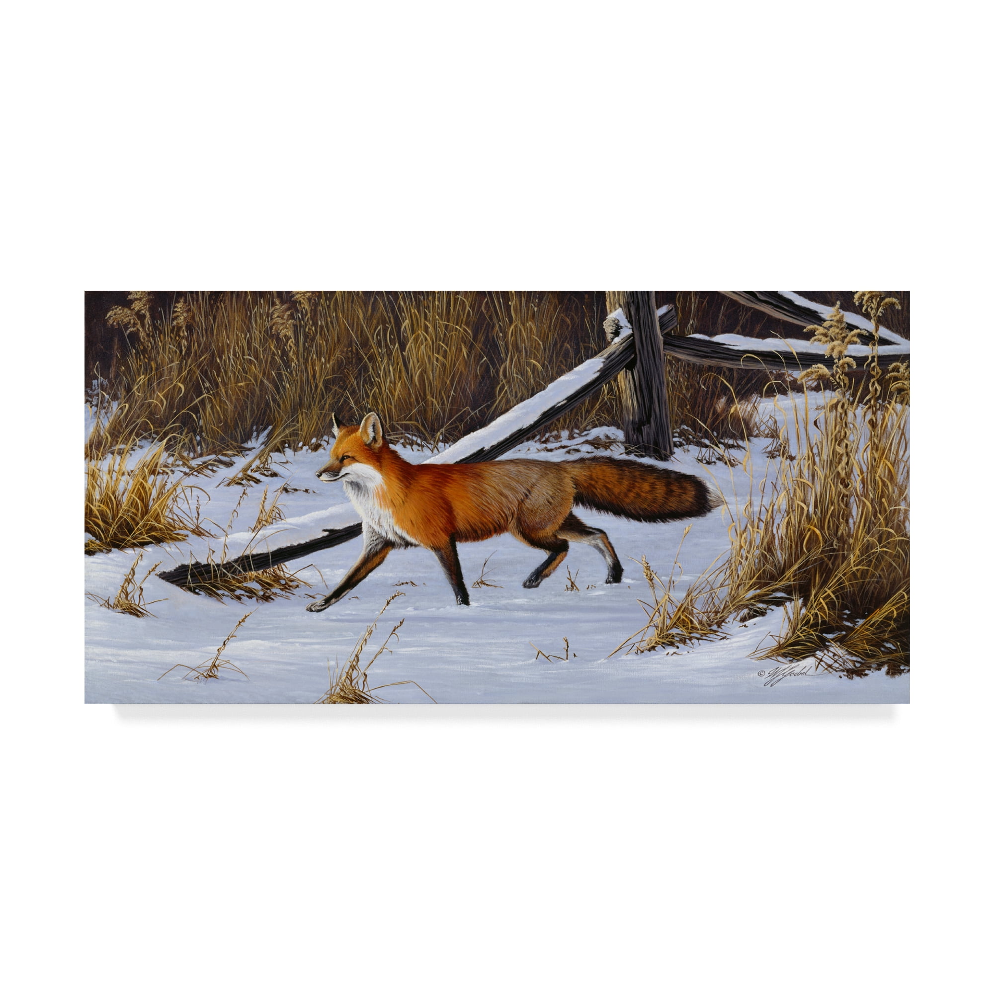 Trademark Fine Art 'Fox Trot Red Fox' Canvas Art by Wilhelm Goebel