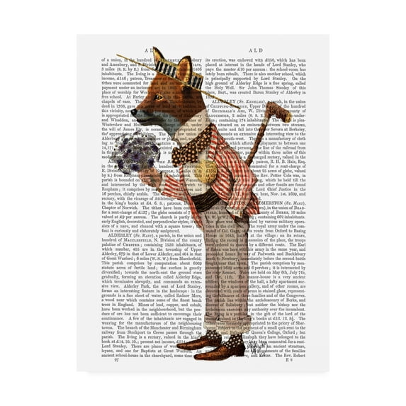 Trademark Fine Art 'Fox in Boater' Canvas Art by Fab Funky