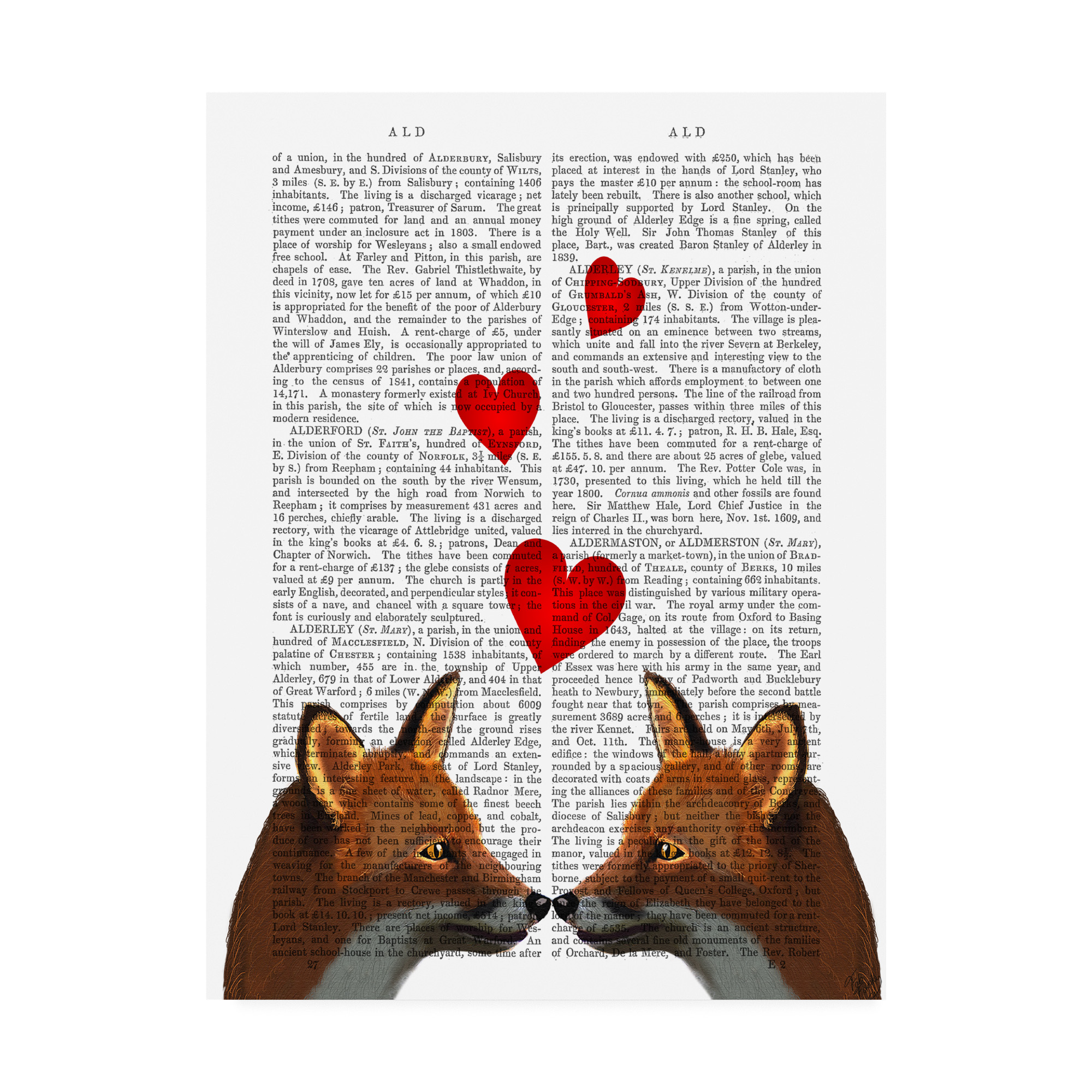 Trademark Fine Art 'Foxes In Love' Canvas Art by Fab Funky