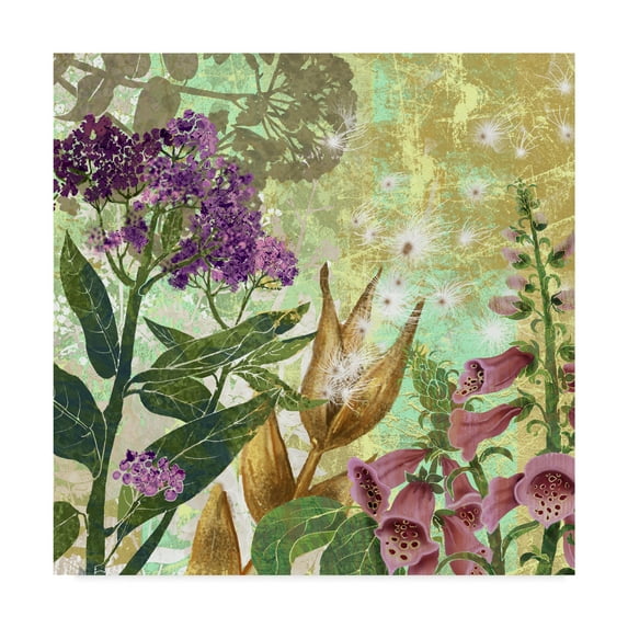 Trademark Fine Art 'Foxglove Meadow II' Canvas Art by Roberta Collier-Morales
