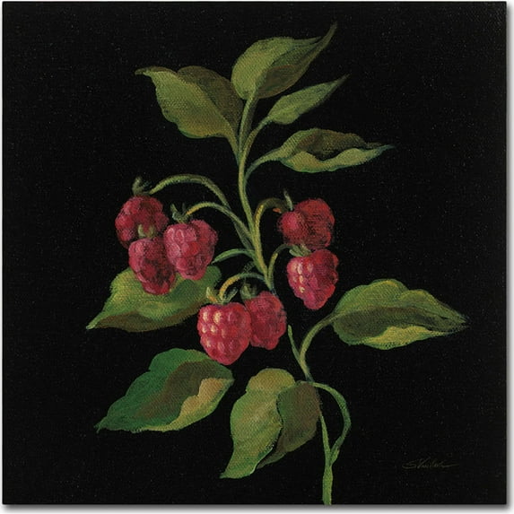 Trademark Fine Art "Framboise No Words" Canvas Art by Silvia Vassileva