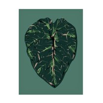Trademark Fine Art Francesco Gulina Alocasia Melo Dark Canvas Wall Art