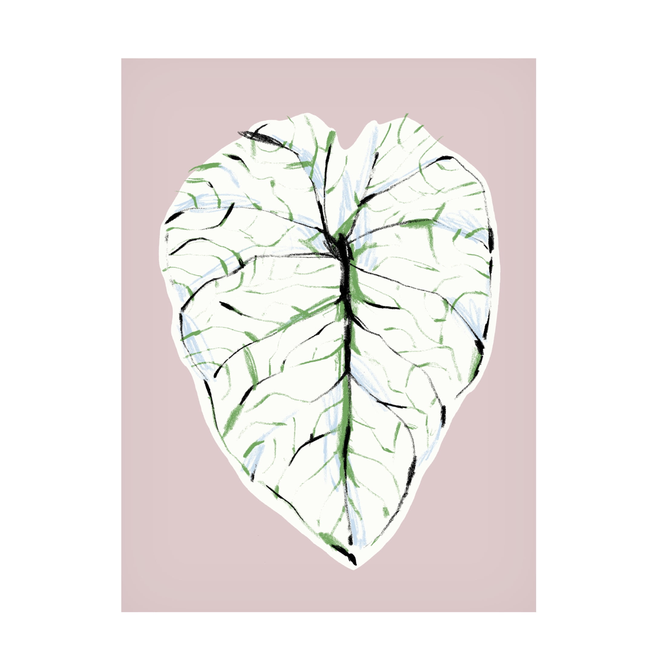 Trademark Fine Art Francesco Gulina Alocasia Melo Light Canvas Wall Art
