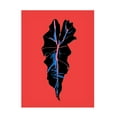 thumbnail image 1 of Trademark Fine Art Francesco Gulina Alocasia Polly Red Canvas Wall Art, 1 of 4