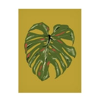 Trademark Fine Art Francesco Gulina Monstera Leaf Green Canvas Wall Art