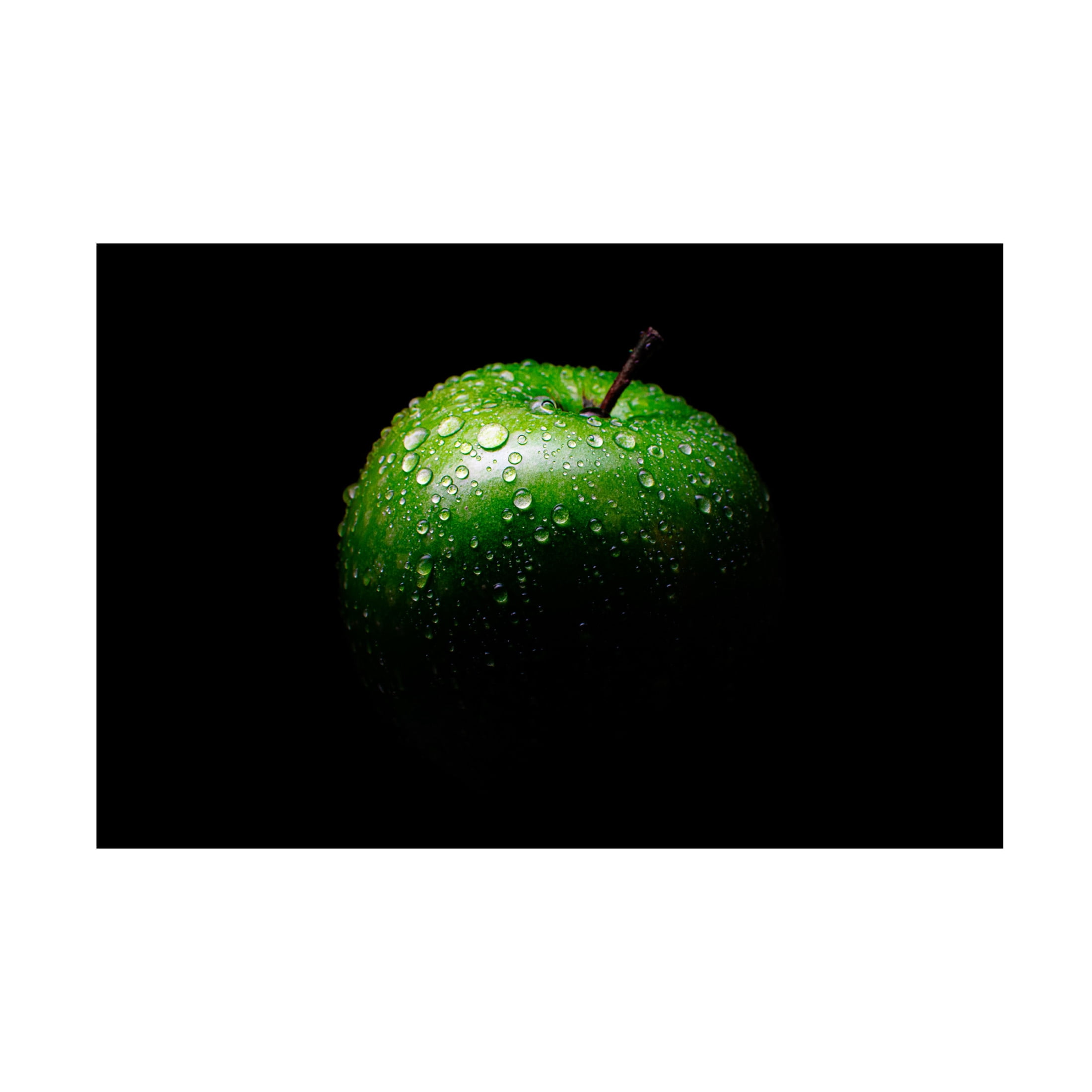 Trademark Fine Art Francis Wilson It's not Adam's, it's Mine Canvas Wall Art