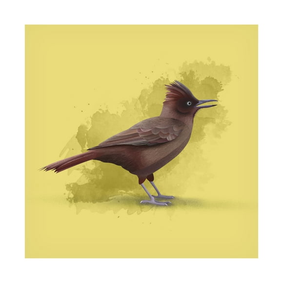 Trademark Fine Art Franco Caballero  Cachalote castaApo Canvas Wall Art