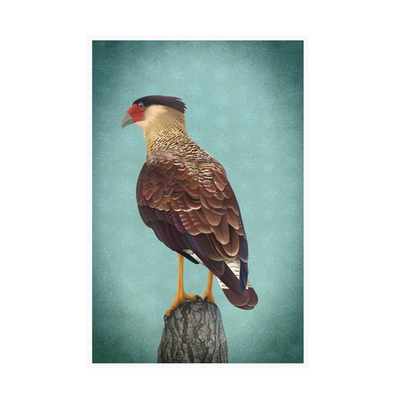 Trademark Fine Art Franco Caballero Carancho Canvas Wall Art