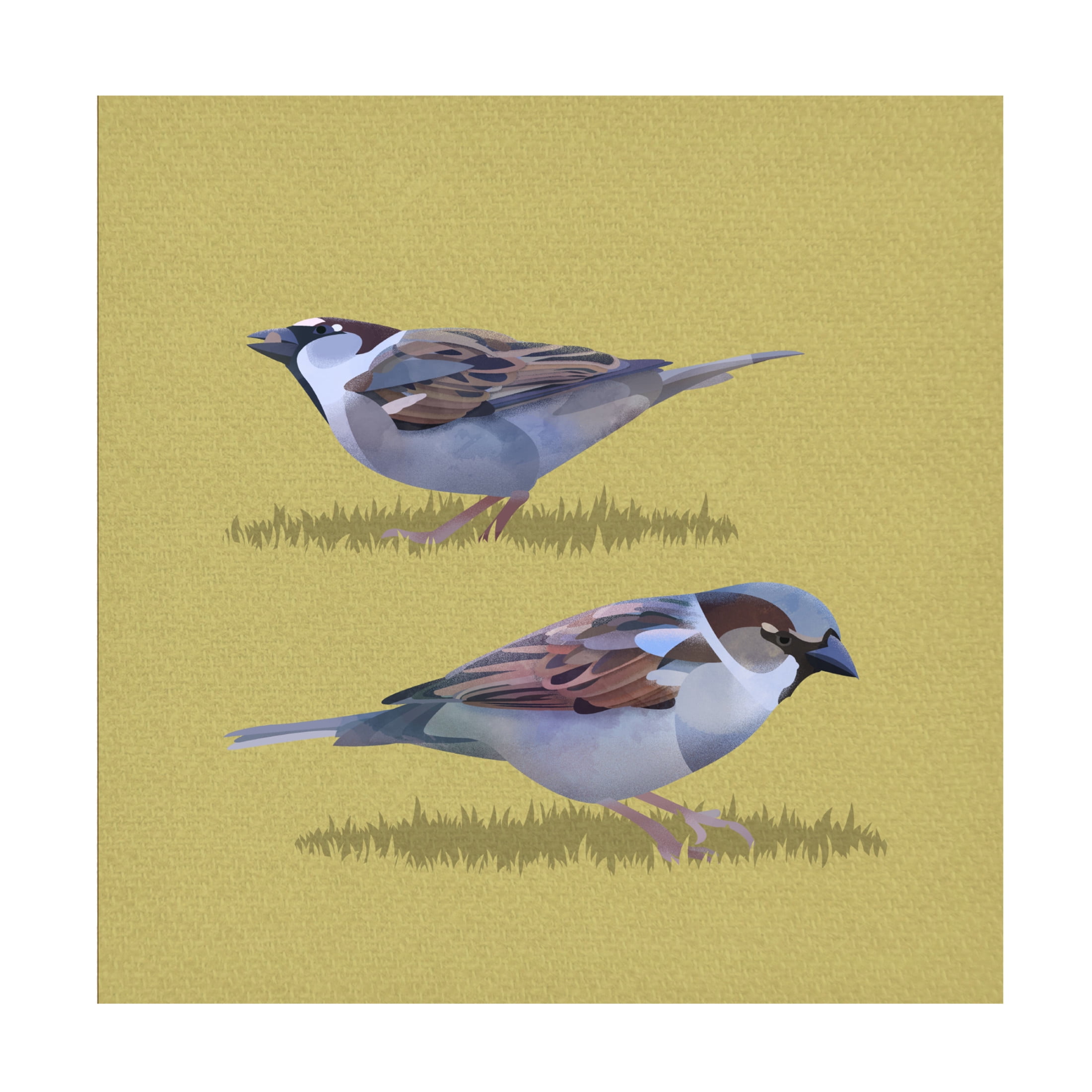 Franco Caballero Sparrows 14" x 19" Canvas Wall Art