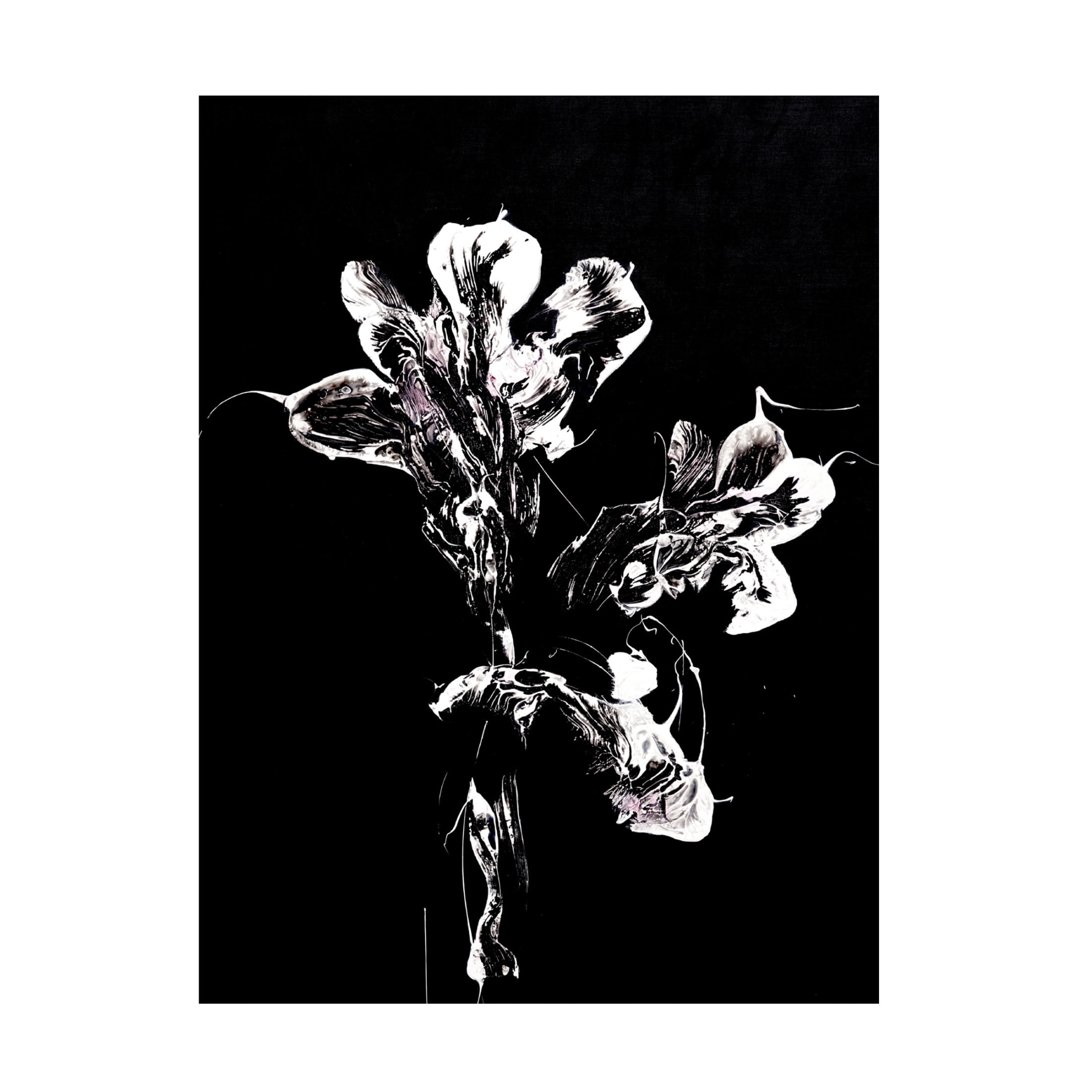 Trademark Fine Art Francoise Wattre Midnight Disguise Canvas Wall Art