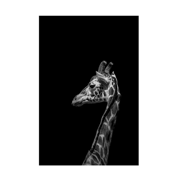 Trademark Fine Art Frank Ma Im Not Happy Canvas Wall Art