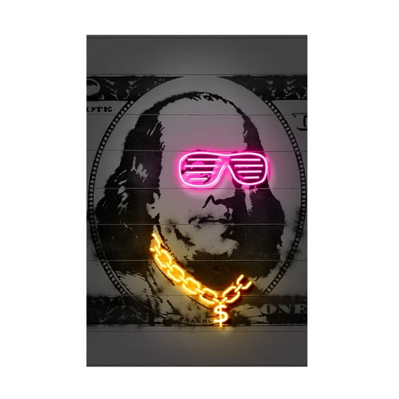 Trademark Fine Art 'Franklin' Canvas Art by Octavian Mielu