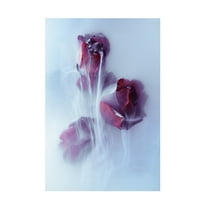 Trademark Fine Art Franz Luxemburger Timeless Canvas Wall Art