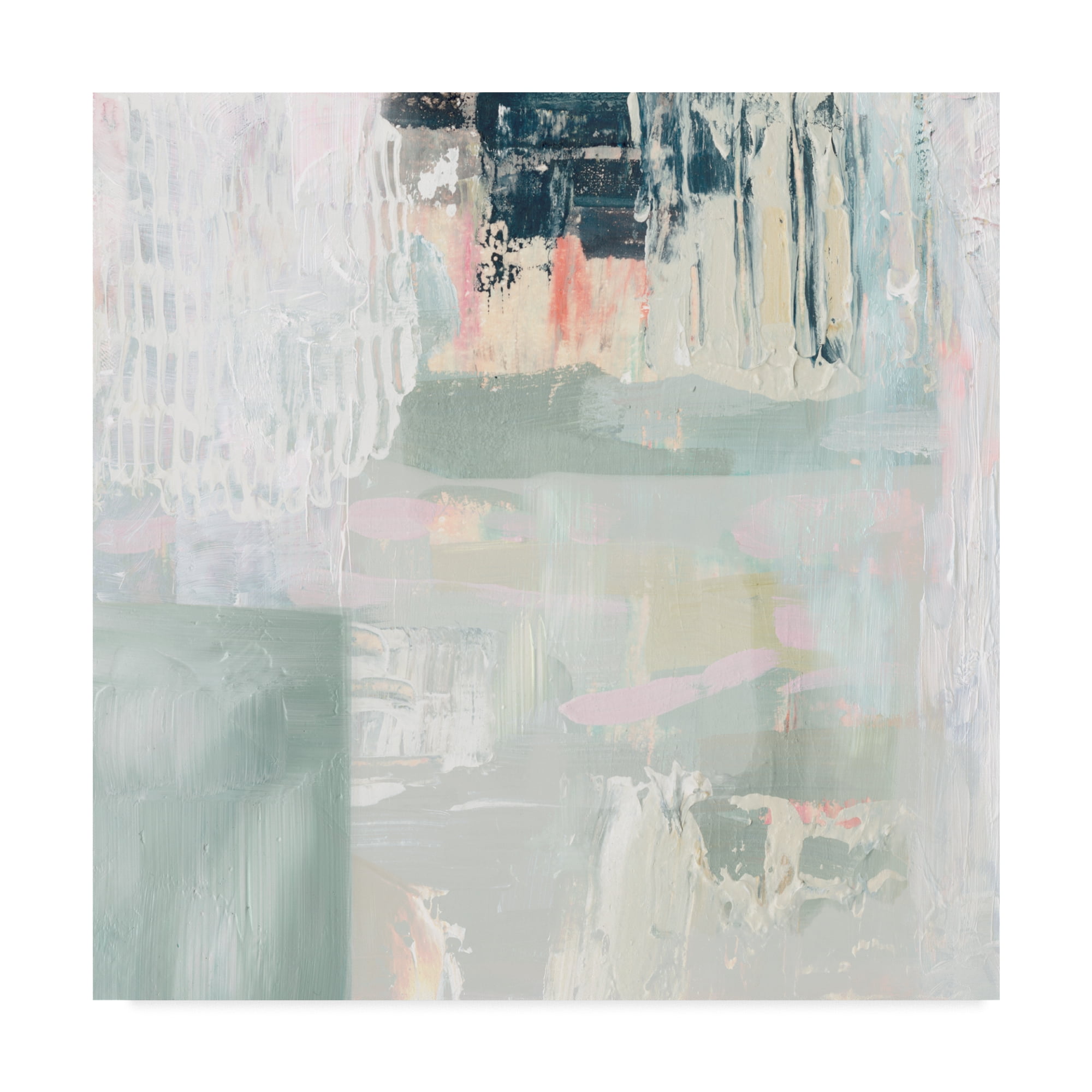 Trademark Fine Art 'Fray I' Canvas Art by Victoria Borges