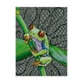 thumbnail image 1 of Trademark Fine Art 'Freddie The Frog' Canvas Art by Amy Frank, 1 of 3