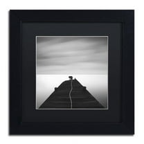 Trademark Fine Art "Free" Canvas Art by Moises Levy Black Matte, Black Frame
