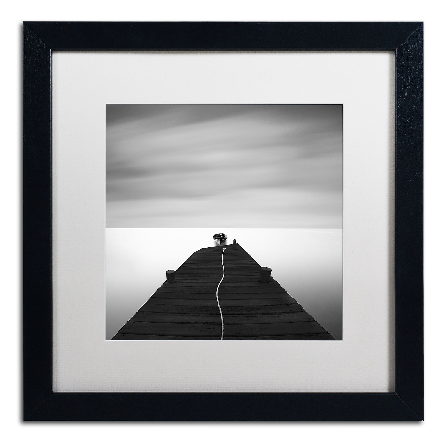 Trademark Fine Art "Free" Canvas Art by Moises Levy White Matte, Black Frame