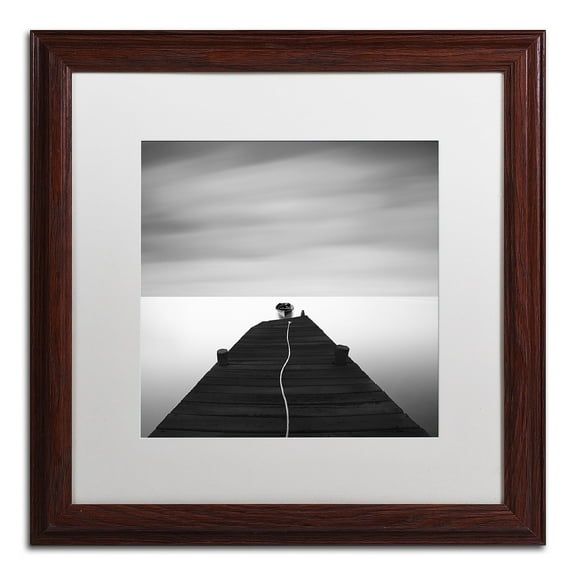 Trademark Fine Art "Free" Canvas Art by Moises Levy White Matte, Wood Frame