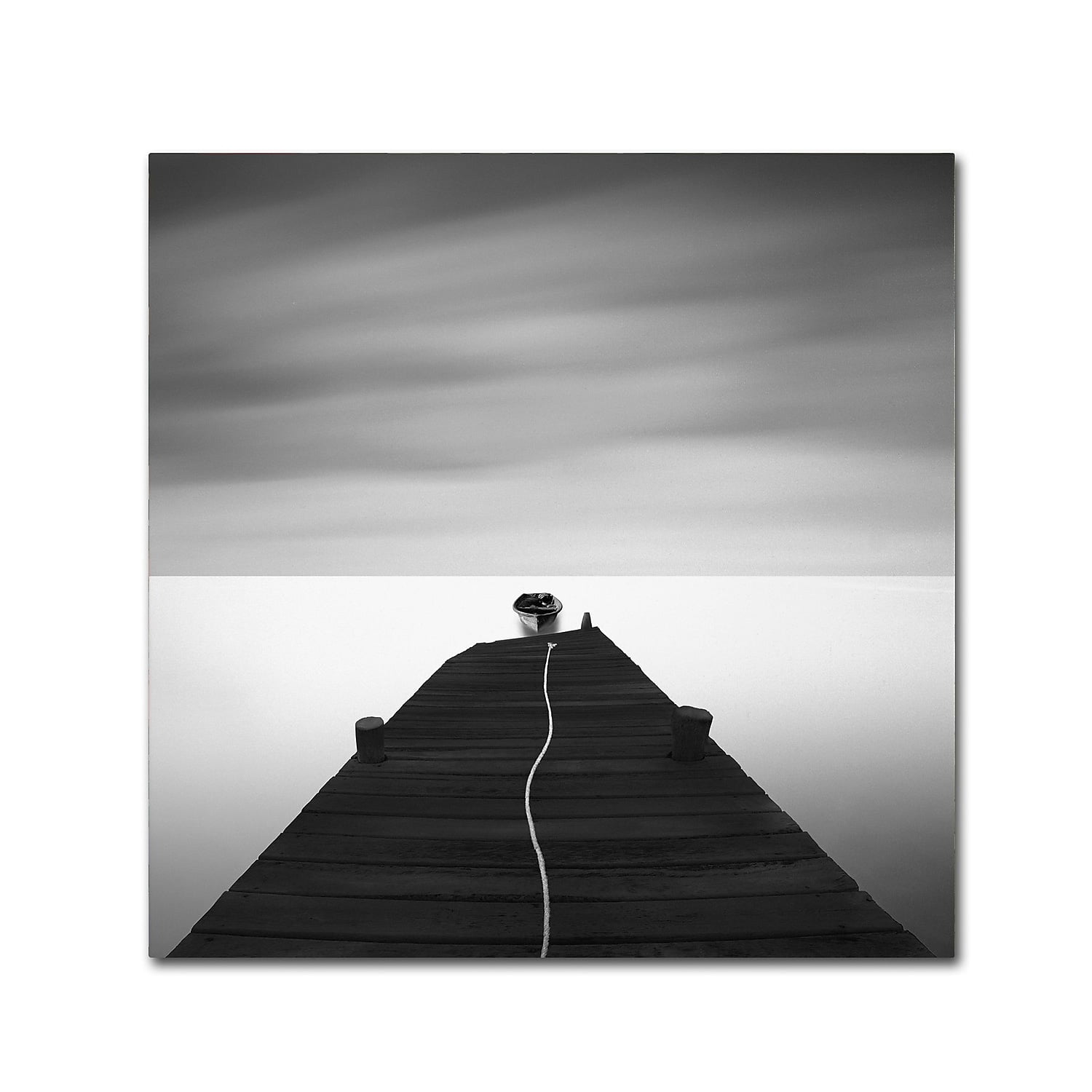 Trademark Fine Art "Free" Canvas Art by Moises Levy