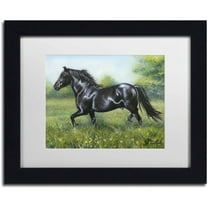 Trademark Fine Art 'Free Spirit' Canvas Art by Jenny Newland, White Matte, Black Frame