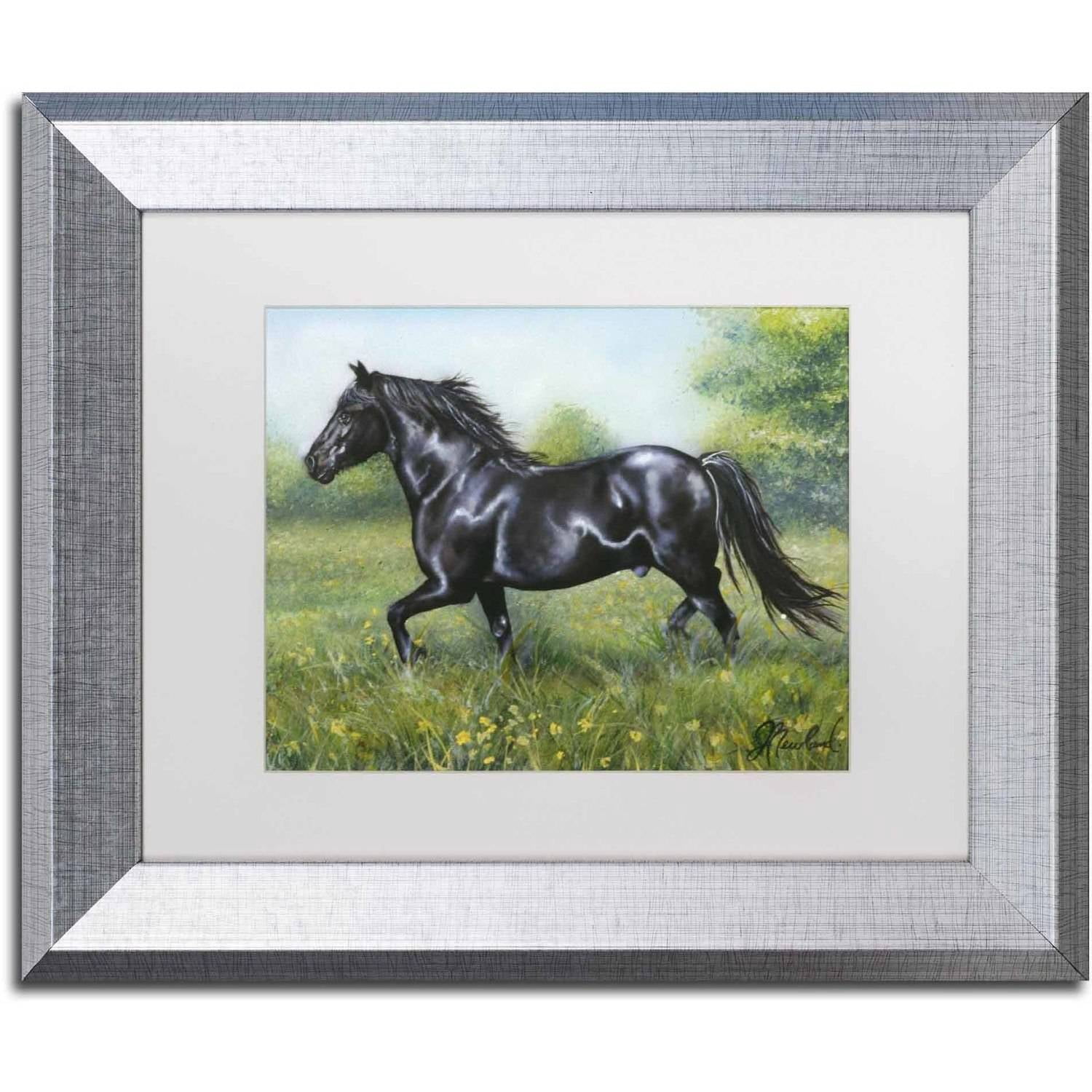 Trademark Fine Art 'Free Spirit' Canvas Art by Jenny Newland, White Matte, Silver Frame