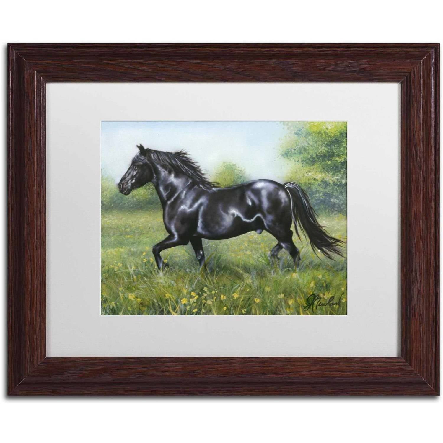 Trademark Fine Art 'Free Spirit' Canvas Art by Jenny Newland, White Matte, Wood Frame
