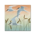 thumbnail image 1 of Trademark Fine Art 'Free as a Bird II v2' Canvas Art by Kathrine Lovell, 1 of 3